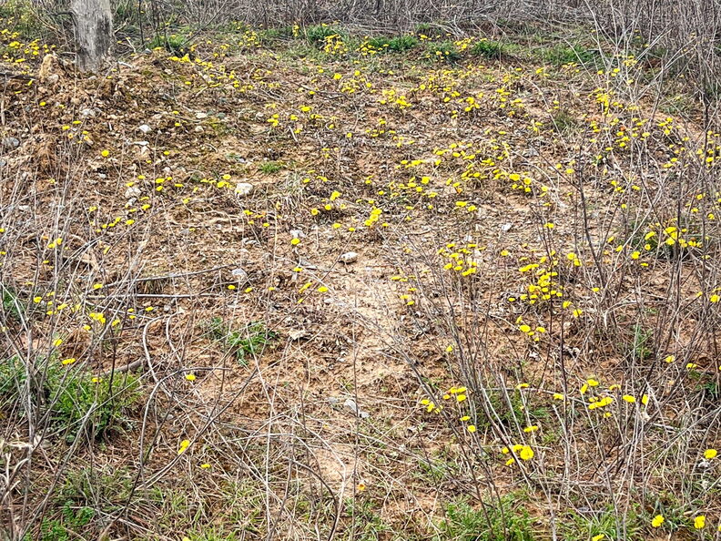 23-03-17 13-40-17 4909